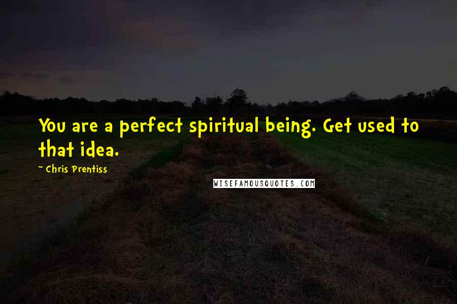 Chris Prentiss Quotes: You are a perfect spiritual being. Get used to that idea.