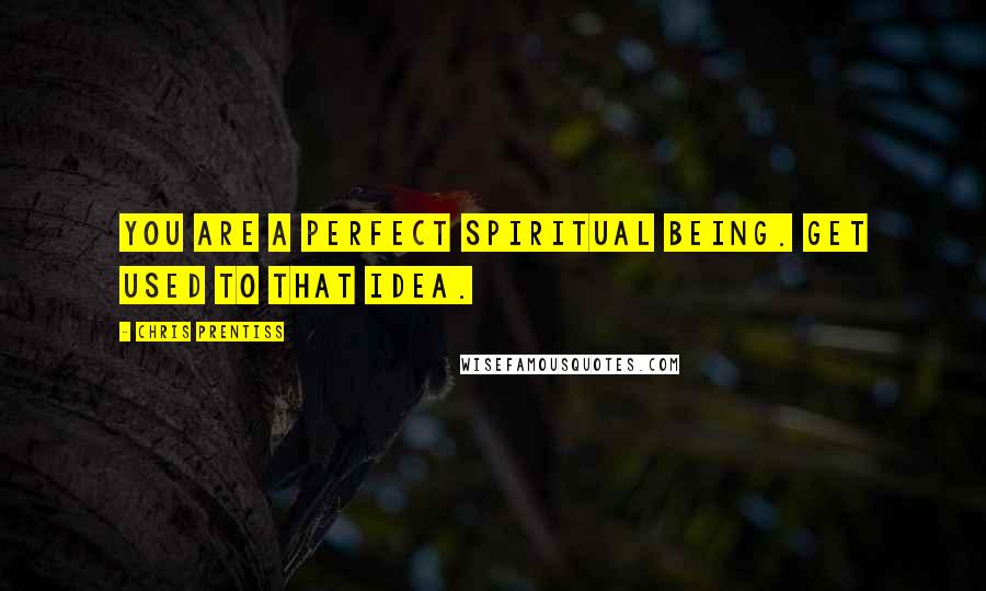 Chris Prentiss Quotes: You are a perfect spiritual being. Get used to that idea.