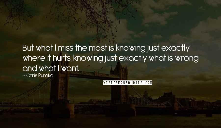 Chris Pureka Quotes: But what I miss the most is knowing just exactly where it hurts, knowing just exactly what is wrong and what I want.