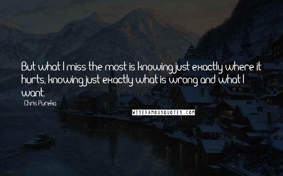 Chris Pureka Quotes: But what I miss the most is knowing just exactly where it hurts, knowing just exactly what is wrong and what I want.