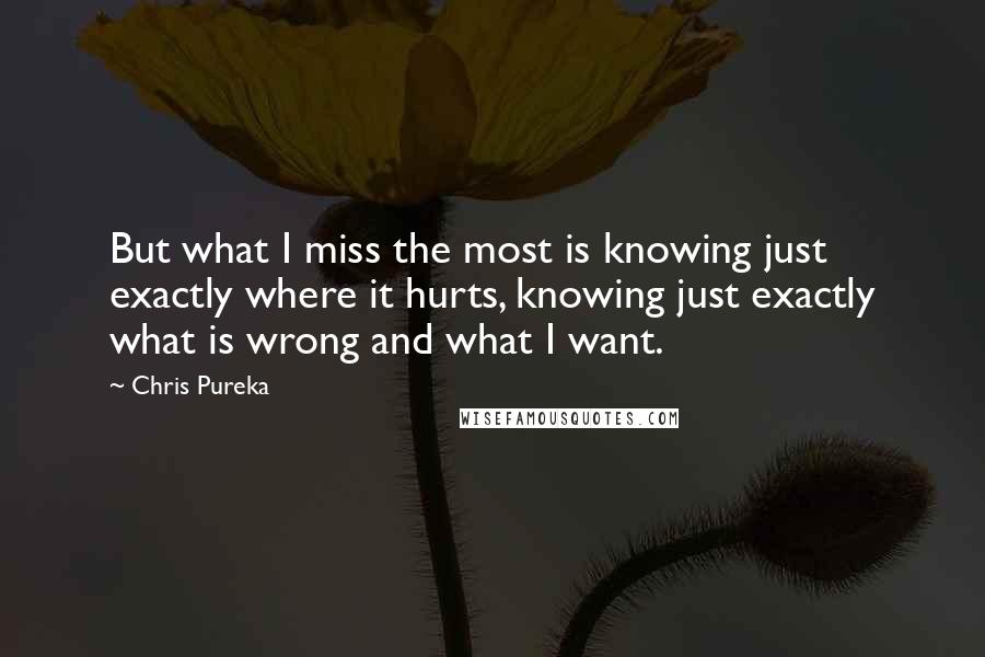 Chris Pureka Quotes: But what I miss the most is knowing just exactly where it hurts, knowing just exactly what is wrong and what I want.
