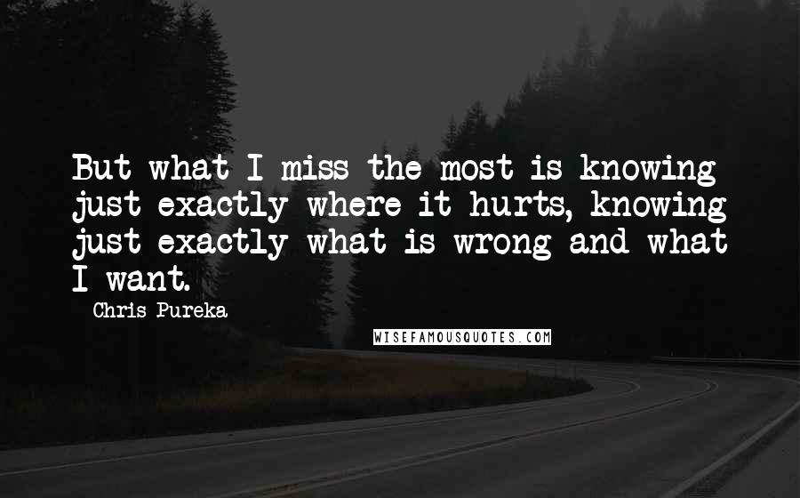 Chris Pureka Quotes: But what I miss the most is knowing just exactly where it hurts, knowing just exactly what is wrong and what I want.