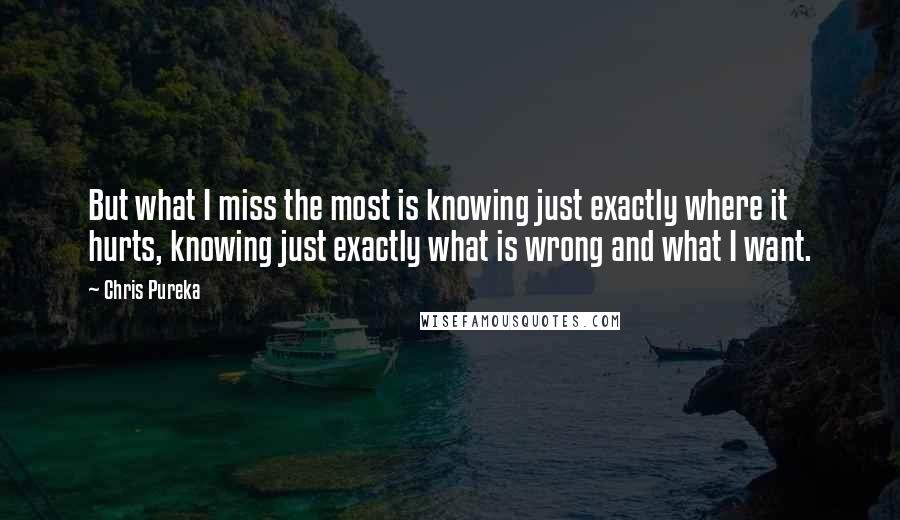 Chris Pureka Quotes: But what I miss the most is knowing just exactly where it hurts, knowing just exactly what is wrong and what I want.