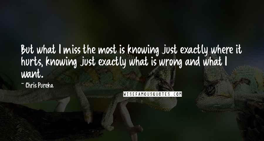 Chris Pureka Quotes: But what I miss the most is knowing just exactly where it hurts, knowing just exactly what is wrong and what I want.