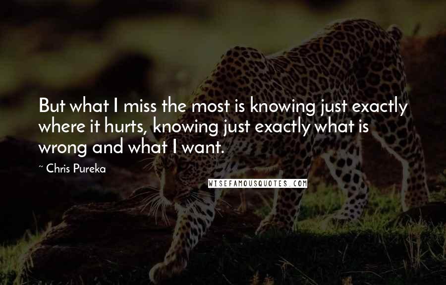 Chris Pureka Quotes: But what I miss the most is knowing just exactly where it hurts, knowing just exactly what is wrong and what I want.