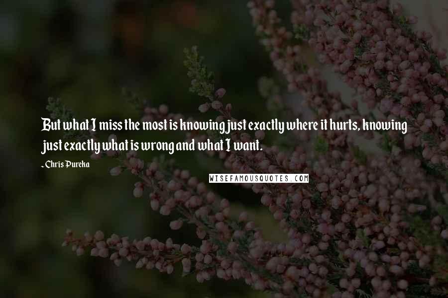 Chris Pureka Quotes: But what I miss the most is knowing just exactly where it hurts, knowing just exactly what is wrong and what I want.