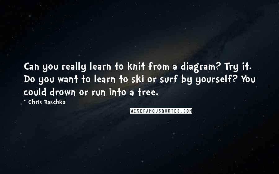 Chris Raschka Quotes: Can you really learn to knit from a diagram? Try it. Do you want to learn to ski or surf by yourself? You could drown or run into a tree.