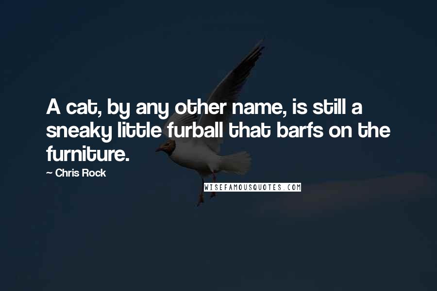 Chris Rock Quotes: A cat, by any other name, is still a sneaky little furball that barfs on the furniture.