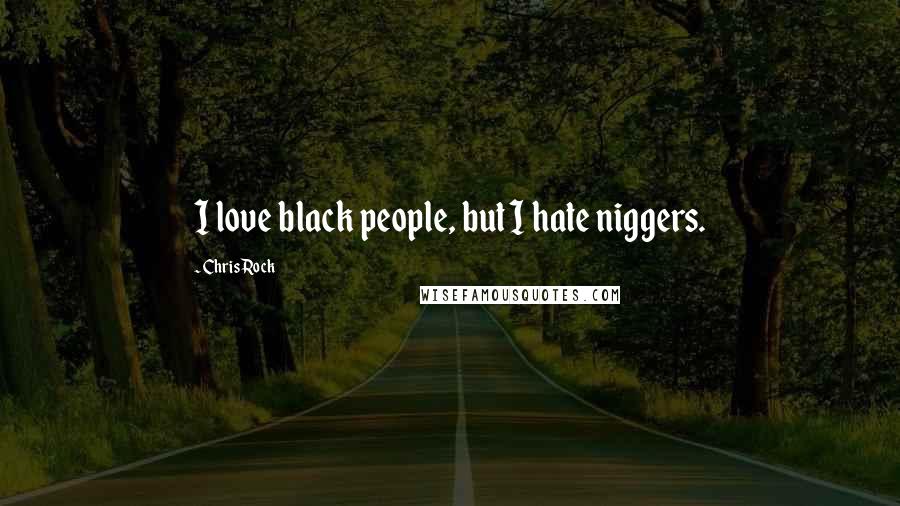 Chris Rock Quotes: I love black people, but I hate niggers.