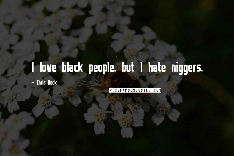 Chris Rock Quotes: I love black people, but I hate niggers.