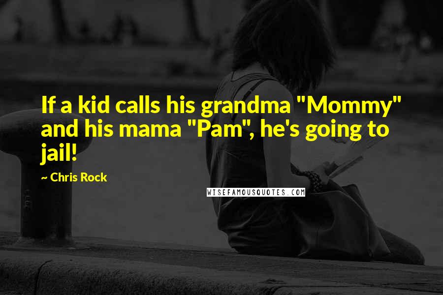 Chris Rock Quotes: If a kid calls his grandma "Mommy" and his mama "Pam", he's going to jail!