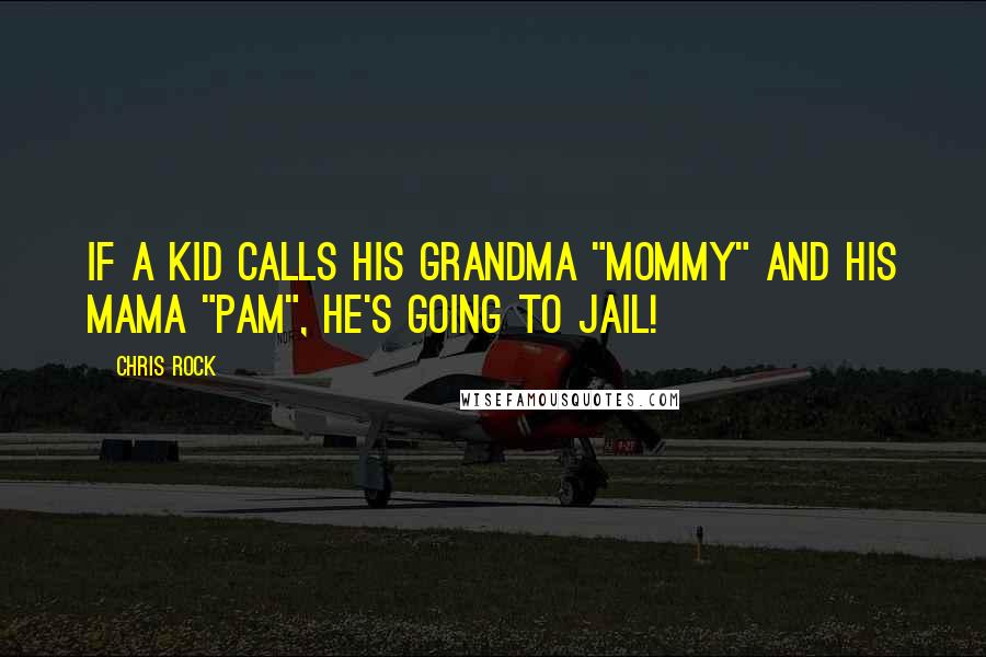 Chris Rock Quotes: If a kid calls his grandma "Mommy" and his mama "Pam", he's going to jail!