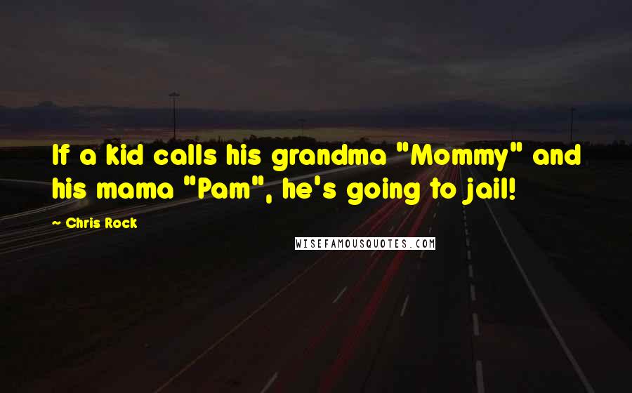 Chris Rock Quotes: If a kid calls his grandma "Mommy" and his mama "Pam", he's going to jail!