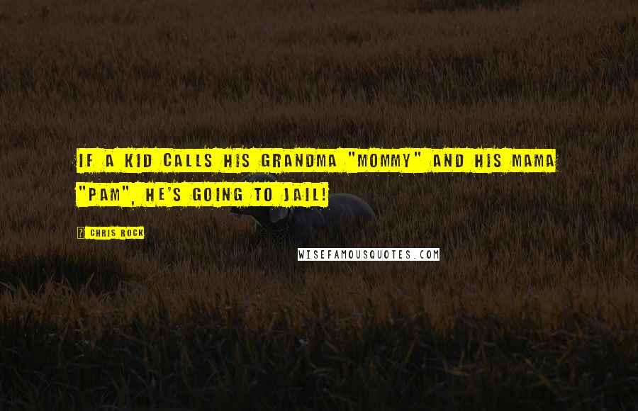Chris Rock Quotes: If a kid calls his grandma "Mommy" and his mama "Pam", he's going to jail!