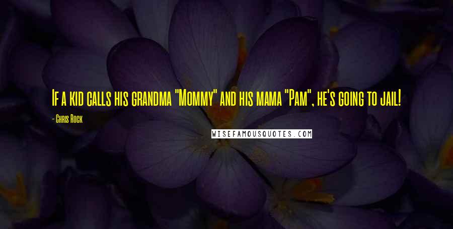Chris Rock Quotes: If a kid calls his grandma "Mommy" and his mama "Pam", he's going to jail!