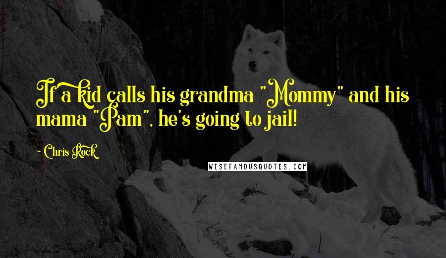 Chris Rock Quotes: If a kid calls his grandma "Mommy" and his mama "Pam", he's going to jail!
