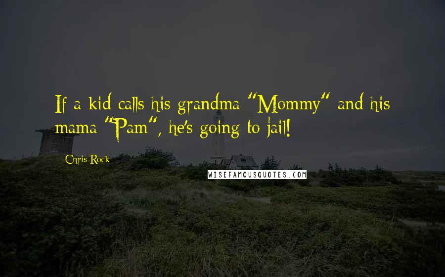 Chris Rock Quotes: If a kid calls his grandma "Mommy" and his mama "Pam", he's going to jail!