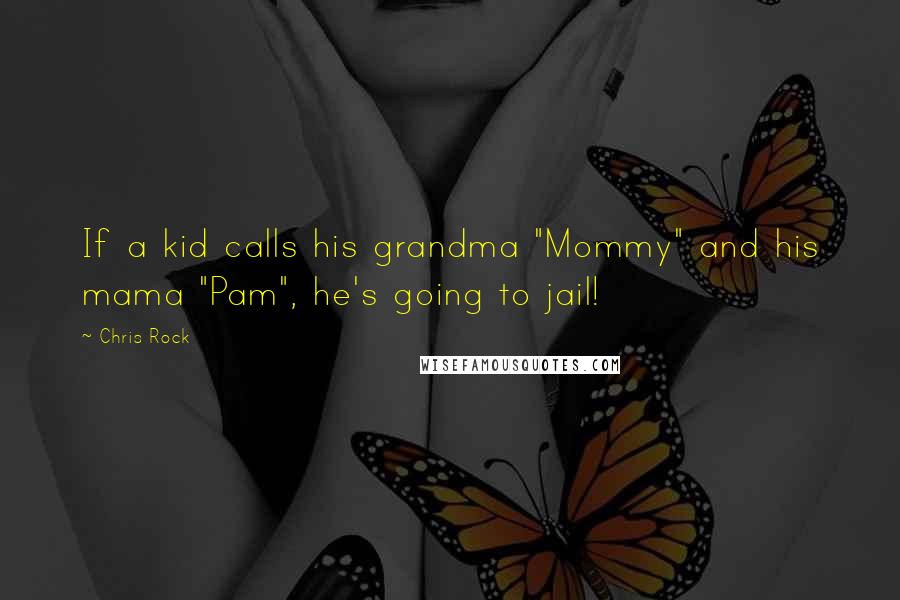 Chris Rock Quotes: If a kid calls his grandma "Mommy" and his mama "Pam", he's going to jail!