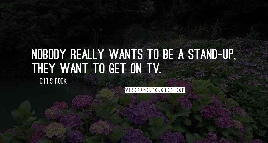 Chris Rock Quotes: Nobody really wants to be a stand-up, they want to get on TV.