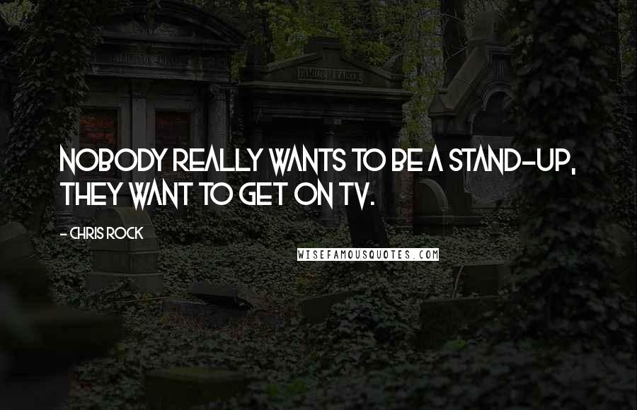 Chris Rock Quotes: Nobody really wants to be a stand-up, they want to get on TV.