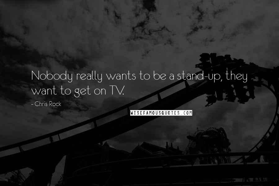 Chris Rock Quotes: Nobody really wants to be a stand-up, they want to get on TV.