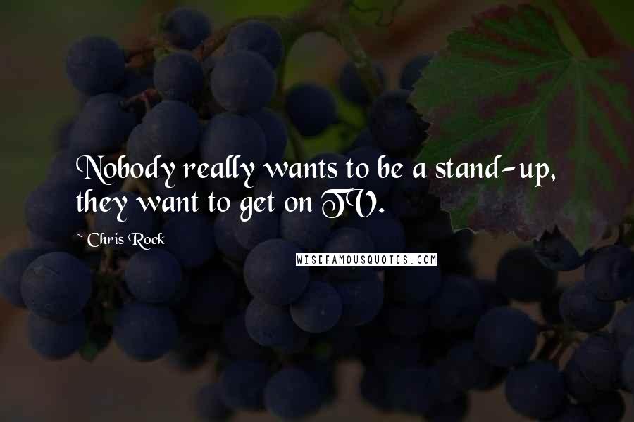 Chris Rock Quotes: Nobody really wants to be a stand-up, they want to get on TV.