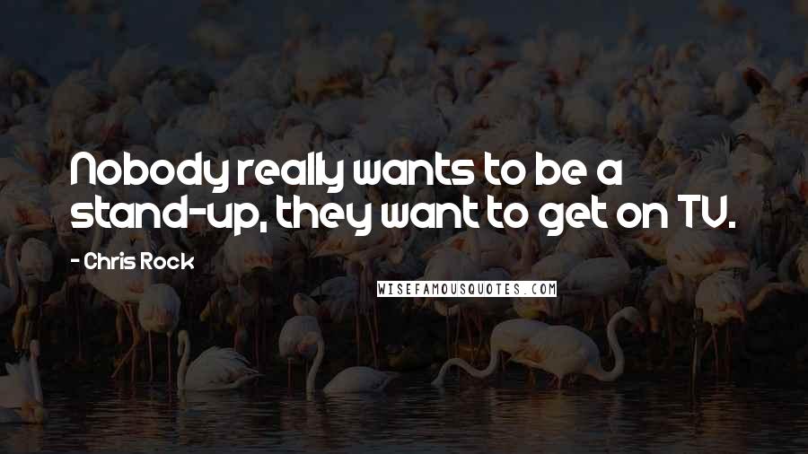 Chris Rock Quotes: Nobody really wants to be a stand-up, they want to get on TV.