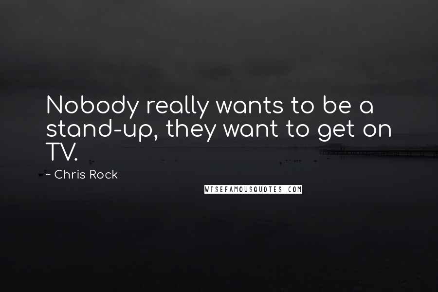 Chris Rock Quotes: Nobody really wants to be a stand-up, they want to get on TV.