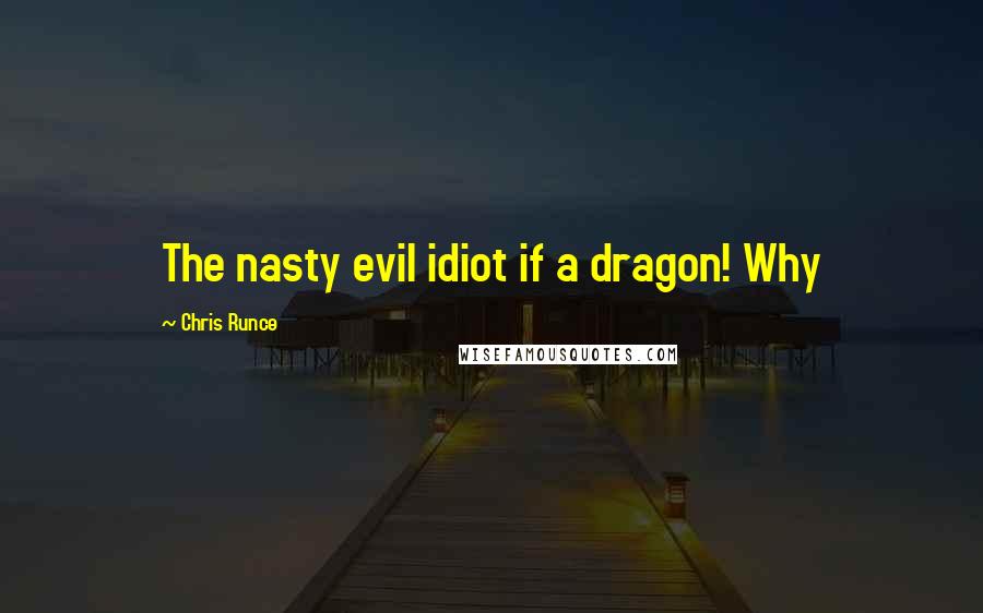 Chris Runce Quotes: The nasty evil idiot if a dragon! Why