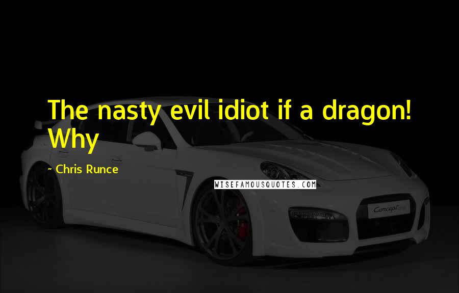 Chris Runce Quotes: The nasty evil idiot if a dragon! Why
