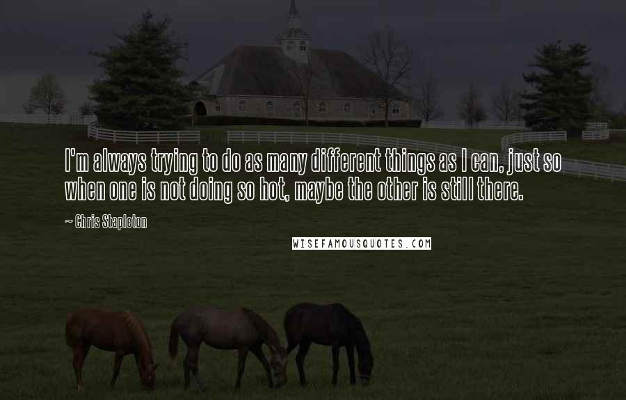 Chris Stapleton Quotes: I'm always trying to do as many different things as I can, just so when one is not doing so hot, maybe the other is still there.