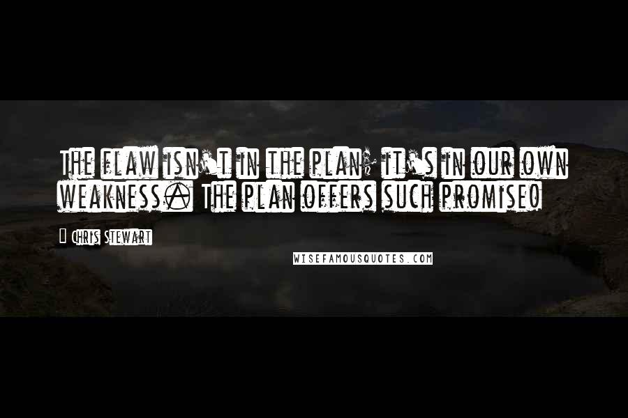 Chris Stewart Quotes: The flaw isn't in the plan; it's in our own weakness. The plan offers such promise!