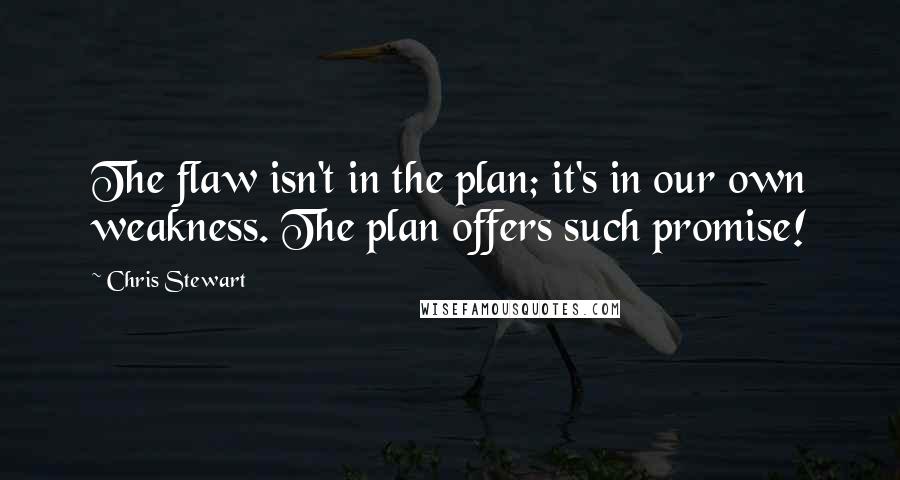 Chris Stewart Quotes: The flaw isn't in the plan; it's in our own weakness. The plan offers such promise!