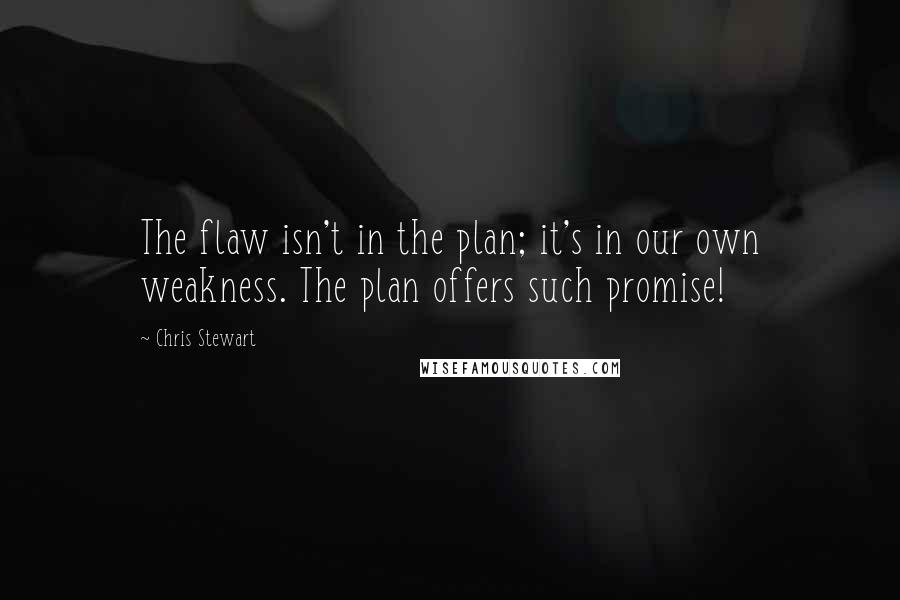 Chris Stewart Quotes: The flaw isn't in the plan; it's in our own weakness. The plan offers such promise!