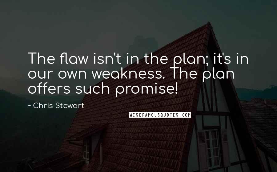 Chris Stewart Quotes: The flaw isn't in the plan; it's in our own weakness. The plan offers such promise!