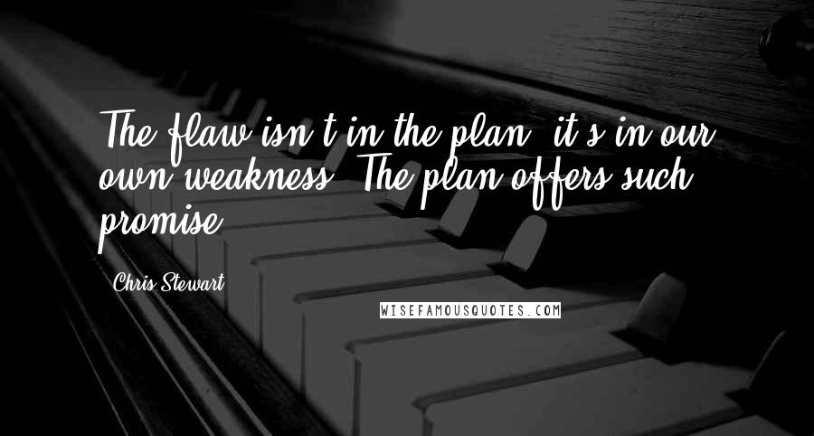 Chris Stewart Quotes: The flaw isn't in the plan; it's in our own weakness. The plan offers such promise!