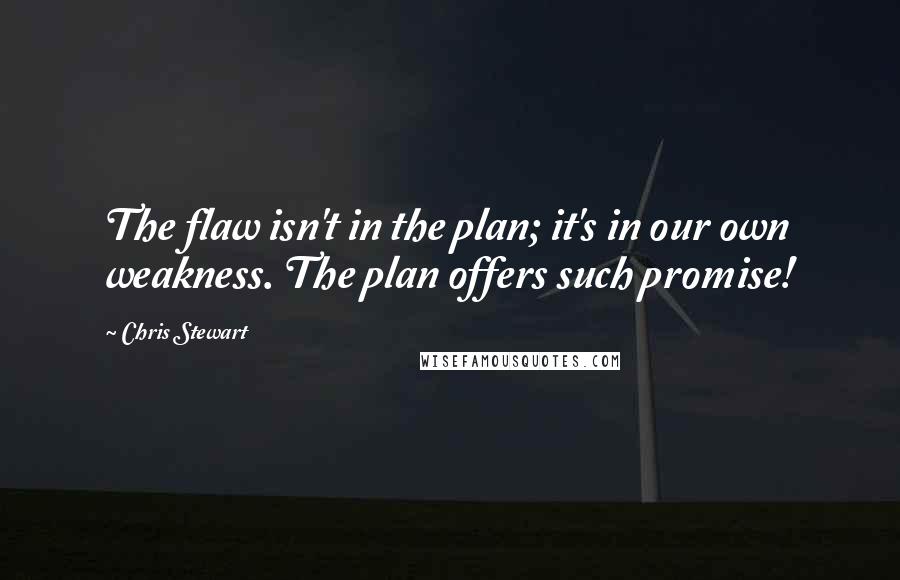 Chris Stewart Quotes: The flaw isn't in the plan; it's in our own weakness. The plan offers such promise!