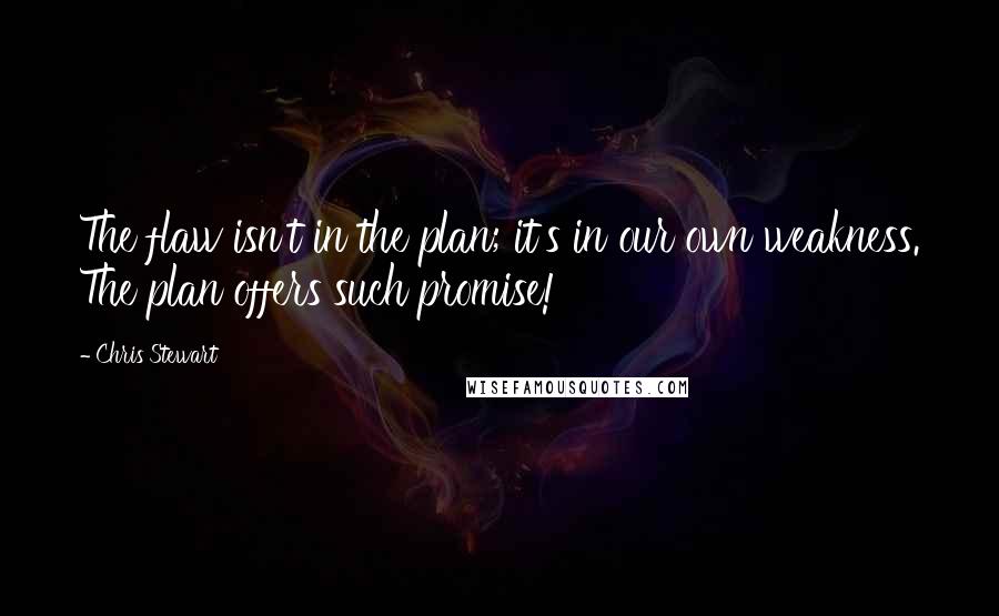 Chris Stewart Quotes: The flaw isn't in the plan; it's in our own weakness. The plan offers such promise!