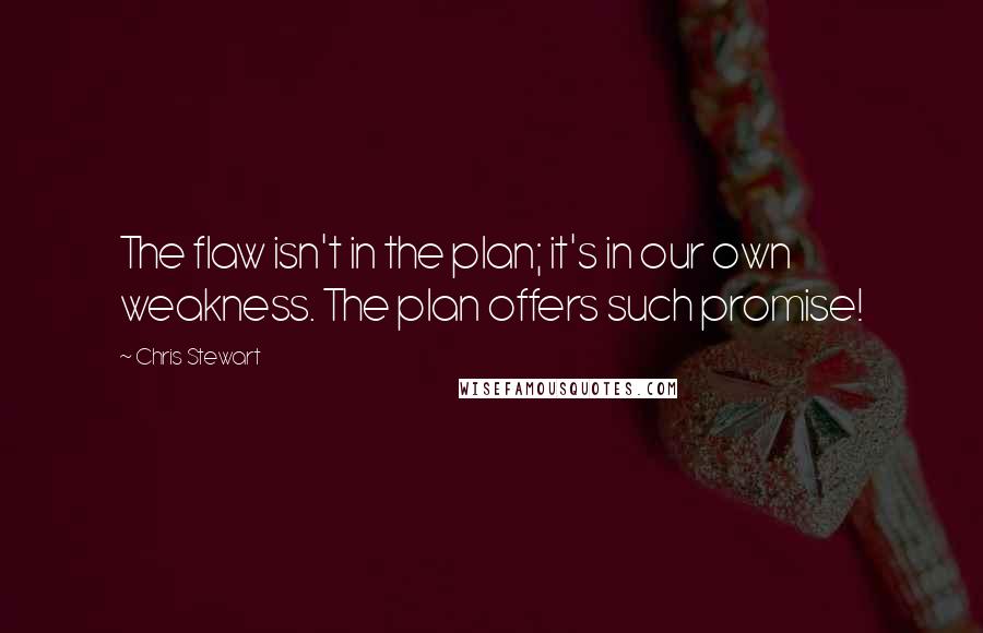 Chris Stewart Quotes: The flaw isn't in the plan; it's in our own weakness. The plan offers such promise!