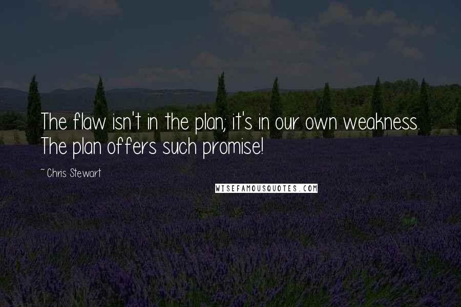 Chris Stewart Quotes: The flaw isn't in the plan; it's in our own weakness. The plan offers such promise!