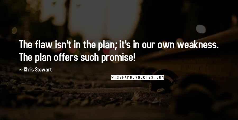 Chris Stewart Quotes: The flaw isn't in the plan; it's in our own weakness. The plan offers such promise!