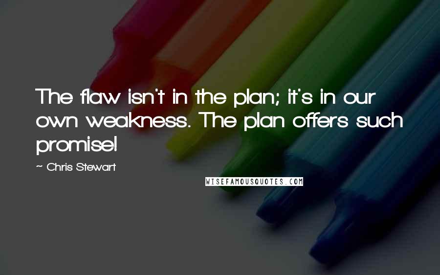 Chris Stewart Quotes: The flaw isn't in the plan; it's in our own weakness. The plan offers such promise!