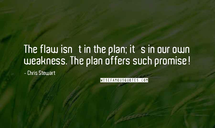 Chris Stewart Quotes: The flaw isn't in the plan; it's in our own weakness. The plan offers such promise!