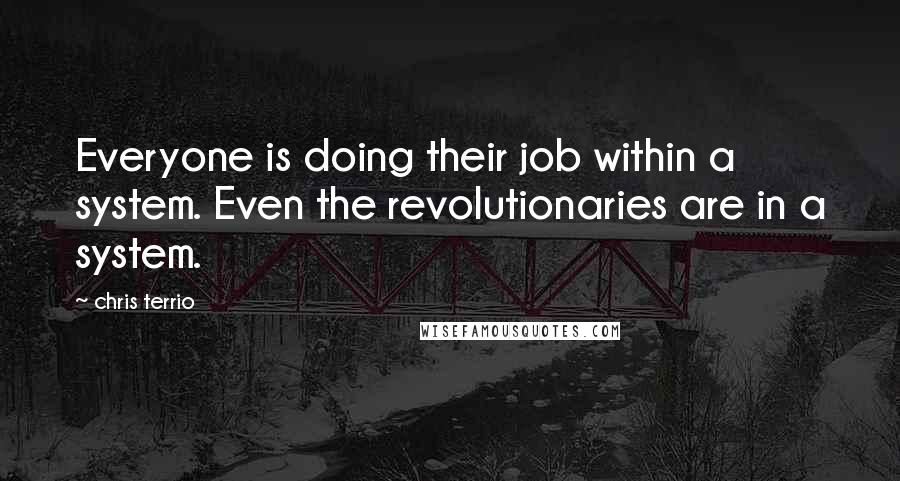 Chris Terrio Quotes: Everyone is doing their job within a system. Even the revolutionaries are in a system.