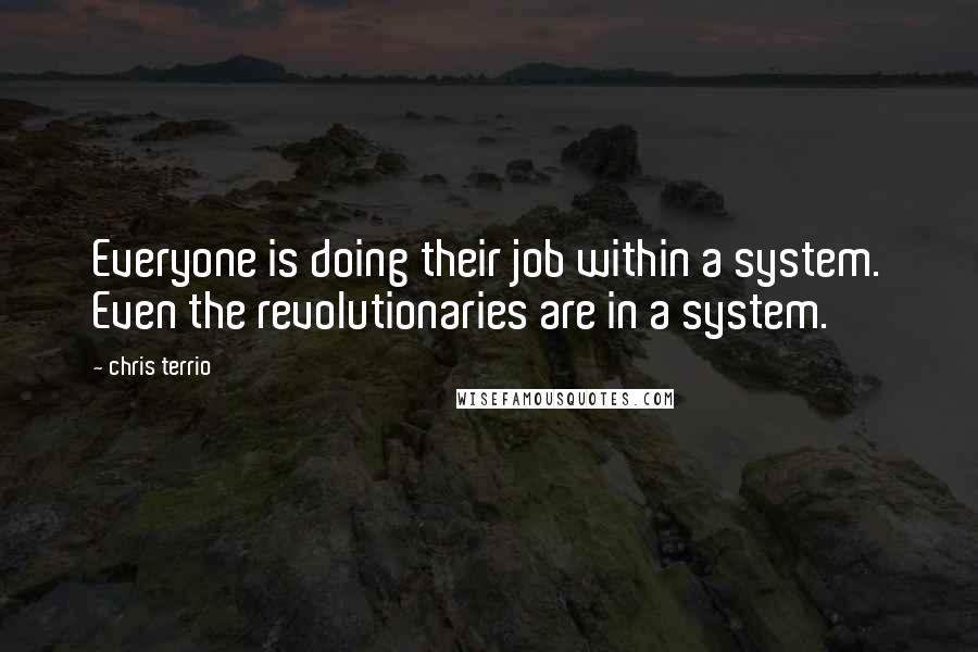 Chris Terrio Quotes: Everyone is doing their job within a system. Even the revolutionaries are in a system.