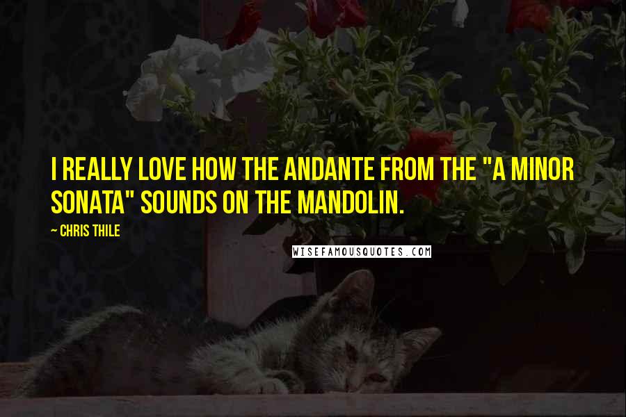 Chris Thile Quotes: I really love how the andante from the "A minor Sonata" sounds on the mandolin.
