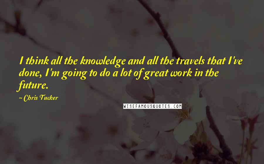 Chris Tucker Quotes: I think all the knowledge and all the travels that I've done, I'm going to do a lot of great work in the future.