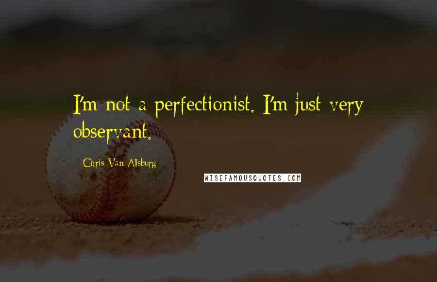 Chris Van Allsburg Quotes: I'm not a perfectionist. I'm just very observant.