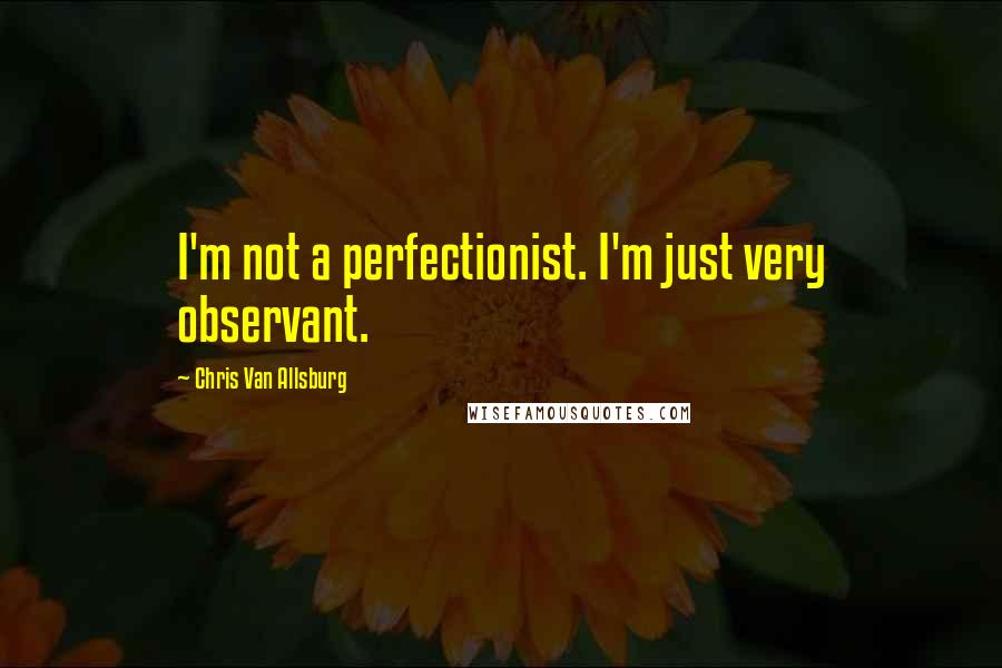 Chris Van Allsburg Quotes: I'm not a perfectionist. I'm just very observant.