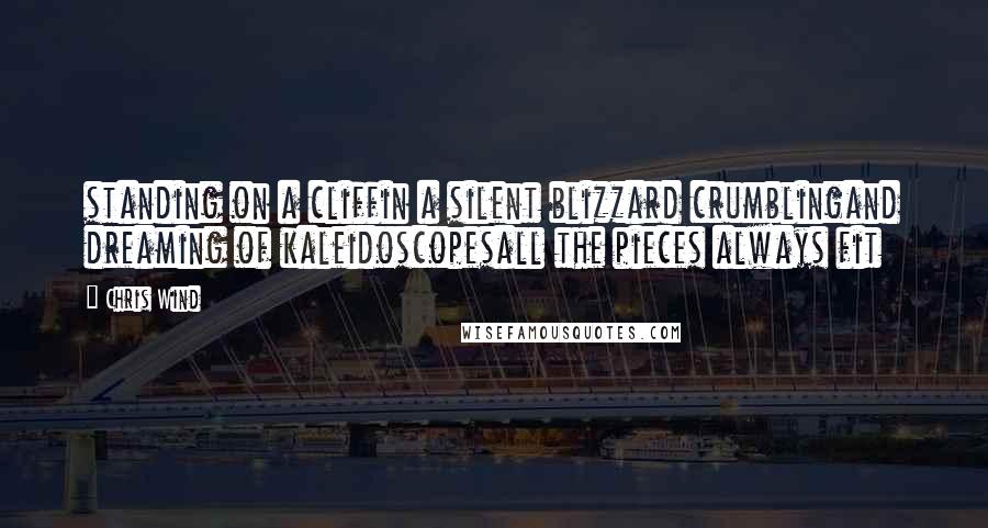 Chris Wind Quotes: standing on a cliffin a silent blizzard crumblingand dreaming of kaleidoscopesall the pieces always fit